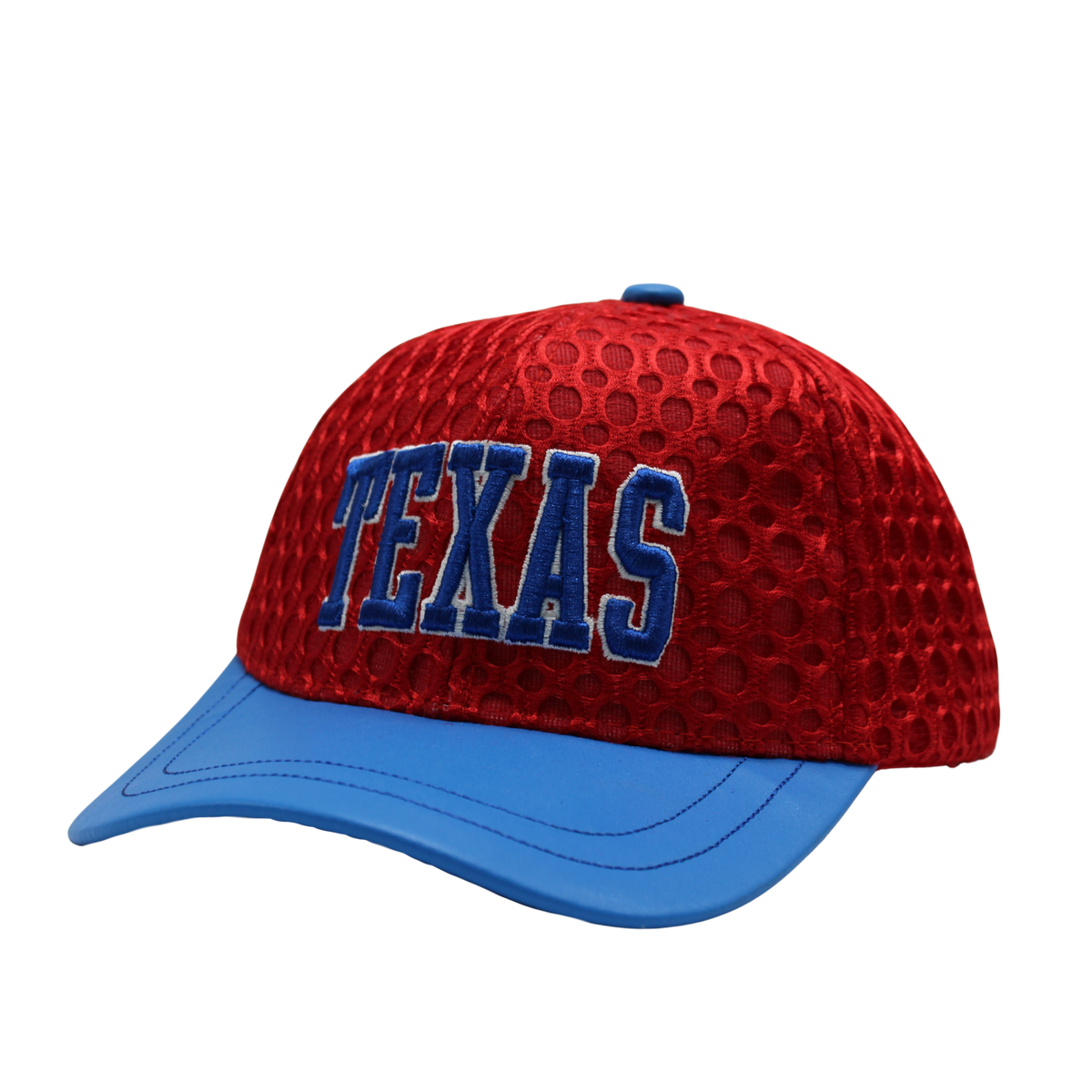 Texas Embroidered Perforated Cap
